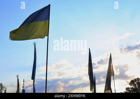 Kiev, Ucraina. 15 luglio 2024. Bandiere ucraine battono bandiera sulle tombe dei soldati ucraini nel cimitero di Kiev. Decine di soldati dell'esercito ucraino morti in battaglie contro la Russia sono sepolti nel vicolo dei soldati del cimitero. (Foto di Aleksandr Gusev/SOPA Images/Sipa USA) credito: SIPA USA/Alamy Live News Foto Stock