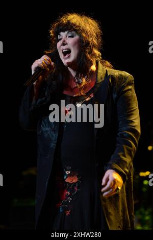 HOLLYWOOD FL - 4 NOVEMBRE: Nancy Wilson dei Heart si esibisce all'Hard Rock Live tenuto al Seminole Hard Rock Hotel & Casino il 4 novembre 2012 a Hollywood, Florida persone: Ann Wilson Foto Stock