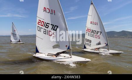 Golubac, Serbia, 7 giugno 2024: Le barche a vela si scontrano per la posizione in una regata di classe laser sul Danubio. Foto Stock