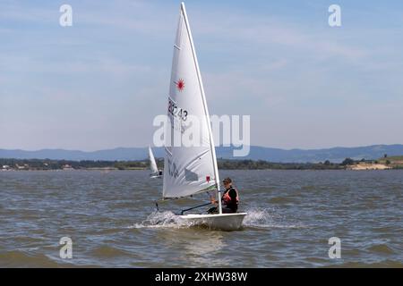 Golubac, Serbia, 7 giugno 2024: Una ragazza adolescente prende parte a una regata a vela di classe laser sul Danubio. Foto Stock