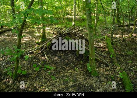 Piccola capanna o rifugio fatto di rami d'albero, bastoni e ramoscelli in una foresta in Europa. Copertura verde delle foglie estive, grandangolo, nessuna gente. Foto Stock