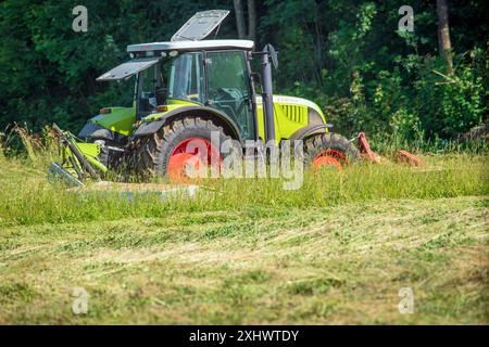 Landwirt mit Traktor bei der Grasernte, München, Juli 2024 Deutschland, München, Juli 2024 Landwirt mit Traktor bei der Grasernte, Sommer, Landwirtschaft, Traktor Claas Ares 577 ATZ, Bayern *** Farmer with Tractor Harvesting Grasernte, Monaco di Baviera, luglio 2024 Germania, Monaco di Baviera, luglio 2024 Farmer with Tractor Harvesting Grasernte, Summer, Agriculture, trattore Claas Ares 577 ATZ, Baviera Foto Stock