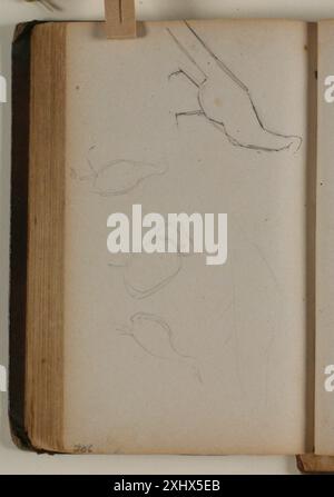 Disegno di Niels Larsen Stevns che mostra studi sui fagiani, raffiguranti la loro postura, il piumaggio e l'anatomia. Foto Stock