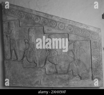Rilievo che mostra una processione cerimoniale al Palazzo di Dario a Persepoli, Iran, raffigurante figure in abbigliamento classico persiano. Foto Stock