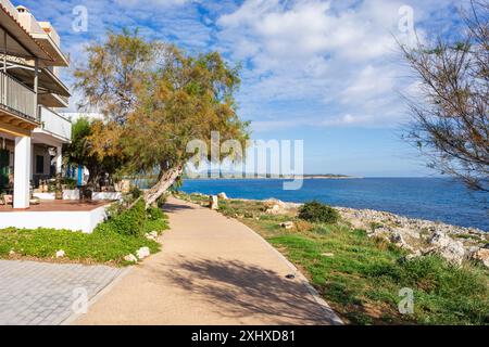 S Illot, Manacor, Maiorca, Isole Baleari, Spagna Foto Stock