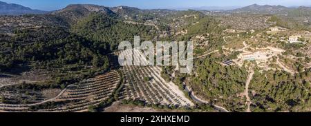 Strada sa Mola e capolinea regionale Manacor, Maiorca, Isole Baleari, Spagna Foto Stock