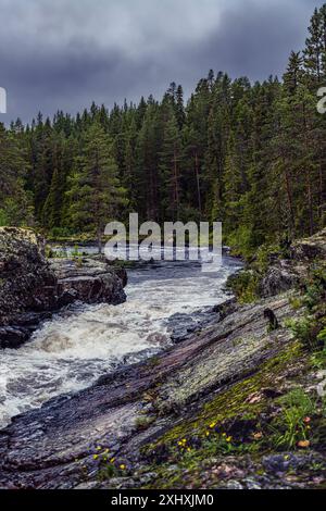 Vista delle rapide del fiume Storån a Idre Dalarna in Svezia, con uno sfondo boschivo Nuvoloso mattutino. Foto Stock