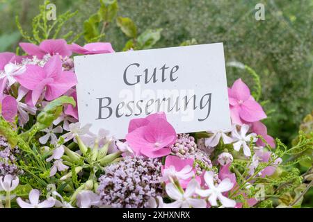 Biglietto d'auguri con ortensie rosa, soapwort, origano e testo tedesco: Guardatevi presto Foto Stock