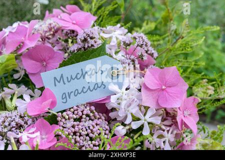 Biglietto d'auguri con ortensie rosa, soapwort, origano e testo spagnolo: Grazie Foto Stock