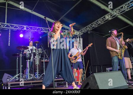 Gruppo collettivo Cable Street che si esibisce dal vivo sul palco del 2024 Gate to Southwell Music Festival, Inghilterra. Foto Stock