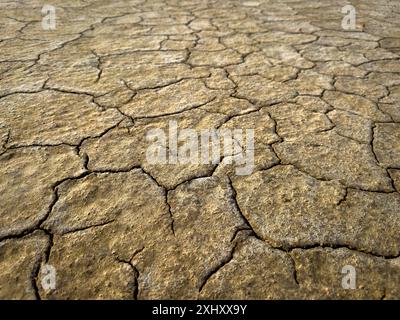 Vista dettagliata della terra secca incrinata in un paesaggio arido, raffigurante la siccità e i problemi ambientali. Foto Stock