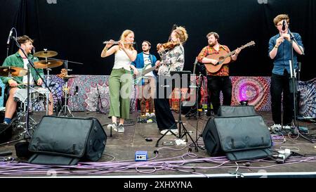 Il gruppo folk di Birmingham Juniper, che si esibisce dal vivo sul palco del 2024 Gate to Southwell Music Festival, Inghilterra. Foto Stock