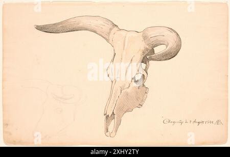 Cranio di una mucca, in profilo di tre quarti, il corno sinistro curvo. Skovgaard, P.C. 1817 - 1875 Drawing Kranium af en ko, i trekvart profil, det venstre horn krumt. Foto Stock