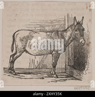 Donkey Flinch, Andreas 1813 - 1872, Lundbye, Johan Thomas 1818 - 1848 Woodcut, Print Johan Thomas Lundbye: 1818-1848, Karl Madsen, Nr. 45, C 3623 2 ex. mb, 1895 Æsel Foto Stock