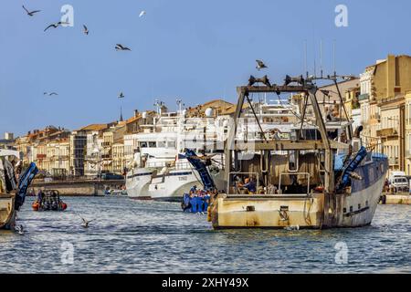 FRANCIA. OCCITANY. HERAULT (34) SETE. PESCHERECCIO DA TRAINO IN PORTO AL RITORNO DALLA BORDATA DI PESCA Foto Stock