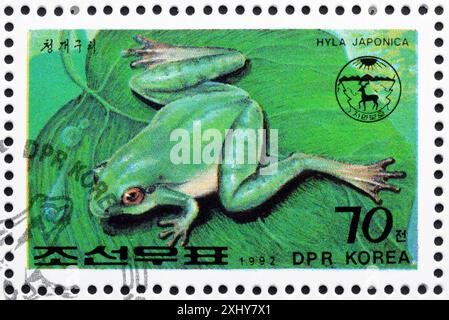 Francobollo cancellato stampato dalla Corea del Nord, che mostra la rana albero giapponese (Hyla japonica), circa 1992. Foto Stock