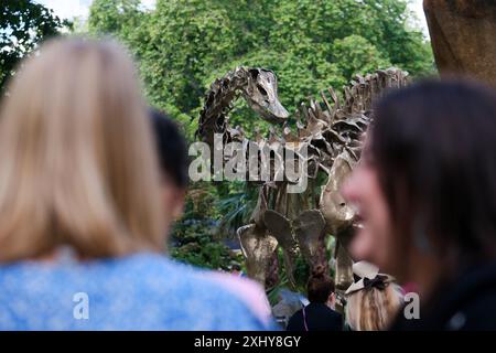 Museo di storia naturale, Londra, Regno Unito. 15 luglio 2024. Anteprima dei giardini dei musei di storia naturale + rivelazione dei dinosauri del nuovo nome "Fern". Crediti: Matthew Chattle/Alamy Live News Foto Stock