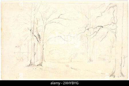 Disegno di Dankvart Dreyer che raffigura una scena interna della foresta che mostra alberi, sottobosco e luce naturale. Foto Stock