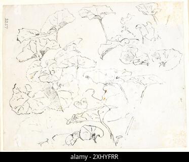 Plant studies Dreyer, Dankvart 1816 - 1852 Drawing Plantestudier Foto Stock