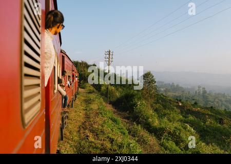 Il treno dello Sri Lanka viaggia attraverso lussureggianti piantagioni di tè verde con alberi durante un pittoresco viaggio nella campagna al tramonto. Foto Stock