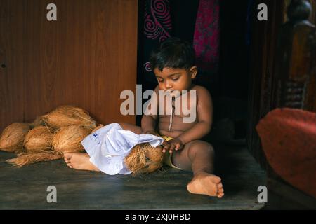 Il piccolo bambino dello Sri Lanka sta giocando con le noci di cocco sul pavimento. Foto Stock