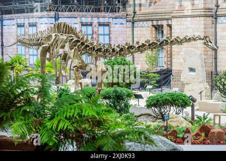 Londra, Regno Unito. 16 luglio 2024. Una nuova fusione di bronzo del dinosauro Diplodocus del museo, chiamata Fern, è il fulcro - il nuovo giardino Evolution, che apre questa settimana al Museo di storia naturale di Londra. Fa parte del progetto Urban Nature e sarà uno spazio liberamente accessibile. Crediti: Guy Bell/Alamy Live News Foto Stock