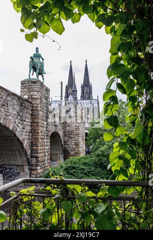 Pipevina (Aristolochia macrophylla) che cresce sulla scalinata fino al ponte Hohenzollern, statua equestre e cattedrale, Colonia, Germania. Pfeifenwinde ( Foto Stock