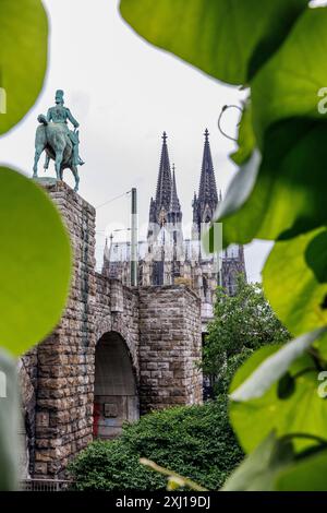 Pipevina (Aristolochia macrophylla) che cresce sulla scalinata fino al ponte Hohenzollern, statua equestre e cattedrale, Colonia, Germania. Pfeifenwinde ( Foto Stock