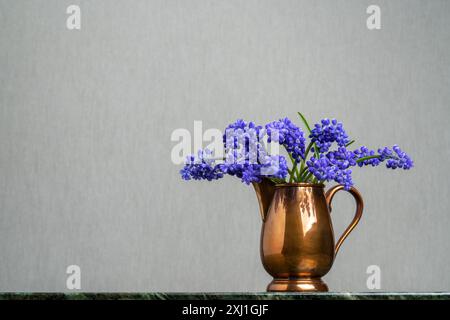 Bouquet delicato. Giacinto Muscari in una caraffa di rame su sfondo grigio chiaro. Tenerezza. Fresca fragranza primaverile. Calma la natura morta. Foto Stock