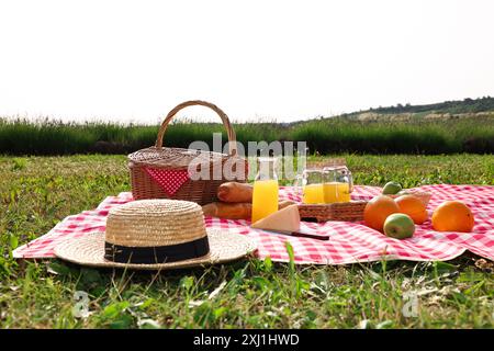 Cestino da picnic, diversi spuntini, succo di frutta e cappello di paglia su una coperta a scacchi rossa all'aperto Foto Stock