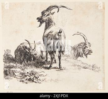 Three Goats Berchem, Nicolaes 1620 - 1683 Etching, Print Hollstein's Dutch and Flemish etchings, incisioni e xilografie 1450-1700 (vol. I), Abry - Berchem, F.W.H. Hollstein, 53 IV eller V, C 38945, 1949. The Illustrated Bartsch 7, Netherlandish Artists, J. Both, Bega, Berchem, Ossenbeck, Hondius M.fl., otto Neumann, 53, C 36173, 1978 Tre Geder Foto Stock