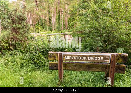 Mireystock Bridge (aperto nel 1874) su una linea ferroviaria minerale nella Forest of Dean vicino a Brierley, Gloucestershire, Inghilterra Regno Unito Foto Stock