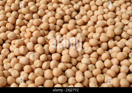 Molti piselli secchi come sfondo, vista ravvicinata Foto Stock