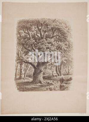 Incisione di F.C. Kiærskou raffigurante un interno della foresta con un ruscello e un cervo, creata nel 1891. Le opere d'arte enfatizzano il paesaggio naturale e la fauna selvatica in Danimarca. Foto Stock