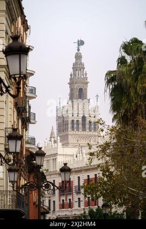 Siviglia, Spagna. 7 febbraio 2024 - Una vista della cattedrale di Siviglia da una strada Foto Stock