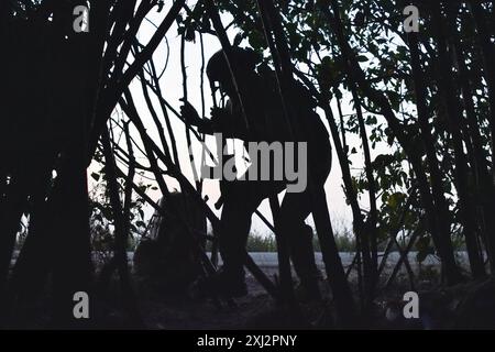 15 luglio 2024, Robotyne, Zaporizhzhia, Ucraina: Un militare ucraino della 65a brigata meccanizzata separata visto in prima linea vicino a Robotyne. L'incessante pressione da parte dell'Ucraina per ottenere i suoi alleati per consentire che colpisca obiettivi all'interno della Russia con armi donate potrebbe iniziare a funzionare, il presidente Volodymyr Zelenskyy lo ha detto il 15 luglio 2024. Se quel permesso non sarà permesso, allora l'Ucraina userà le proprie armi per colpire la Russia. Molti dei suoi alleati guidati dagli Stati Uniti stanno ponendo dei limiti agli obiettivi che possono colpire all'interno della Russia. Qualcosa che dice Kiev rende impossibile colpire le basi aeree e c Foto Stock