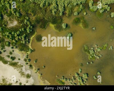 Montenegro - Vista aerea in una parte del Parco naturale Solana Ulcinj. Foto di alta qualità Foto Stock