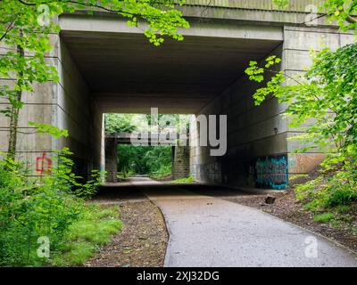 Passerella Worsley Roe Green sotto il cavalcavia di cemento M62 attraverso una lussureggiante foresta verde con graffiti sulle pareti e un sentiero che conduce. Foto Stock