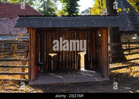 Porta e casa in legno tradizionali al Museo del Villaggio Dimitrie gusti, un museo all'aperto a Bucarest, Romania Foto Stock