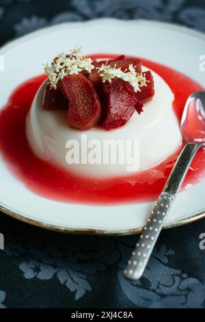 Panna cotta vegan di fiori di sambuco fatta in casa con coulis di rabarbaro. Foto Stock
