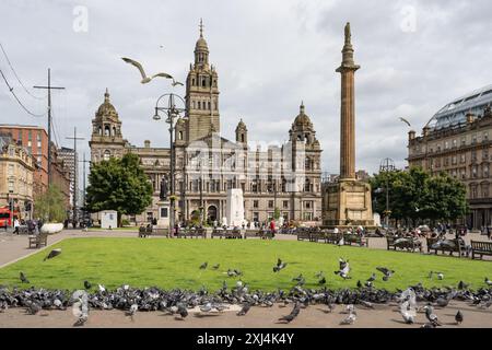 Piccioni e gabbiani che mangiano cibo che il pubblico ha messo per loro - George Square, Glasgow, Scozia, Regno Unito Foto Stock