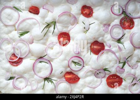 Primo piano focaccia della cucina italiana pronta per la cottura con pomodori, rosmarino, cipolla viola. vista dall'alto. Background alimentare. Pane a lievitazione naturale sano Foto Stock
