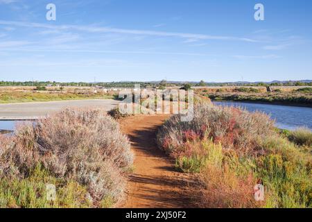 Salinas do forte do Rato - pittoresche saline vicino a Tavira in Algarve, Portogallo Foto Stock