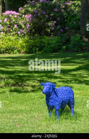 Pecore blu in un prato, State Garden Show, Bad Lippspringe, Renania settentrionale-Vestfalia, Germania Foto Stock