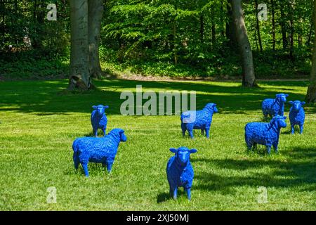 Pecore blu in un prato, State Garden Show, Bad Lippspringe, Renania settentrionale-Vestfalia, Germania Foto Stock