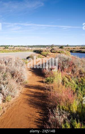 Salinas do forte do Rato - pittoresche saline vicino a Tavira in Algarve, Portogallo Foto Stock