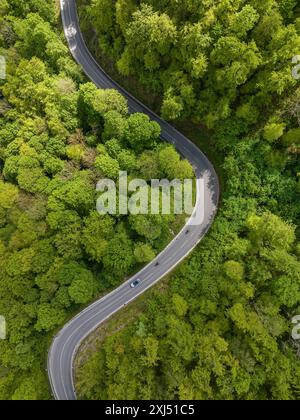 Strada di campagna tortuosa che attraversa una foresta, Alb svevo in primavera, foto con droni, Gutenberg, Lenningen, Baden-Wuerttemberg, Germania Foto Stock