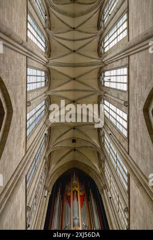 Cattedrale di Magdeburgo, soffitto, Magdeburgo, Sassonia Anhalt, Germania Foto Stock