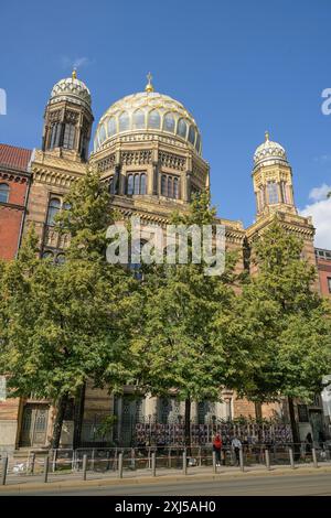 Sinagoga, Oranienburger Strasse, Mitte, Berlino, Germania Foto Stock