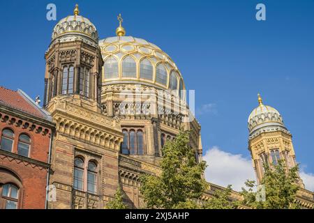 Sinagoga, Oranienburger Strasse, Mitte, Berlino, Germania Foto Stock